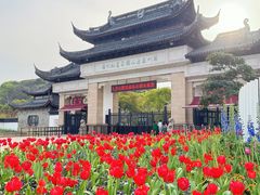 -苏州上方山国家森林公园