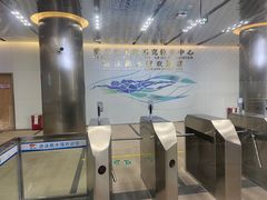 -重庆市奥林匹克体育中心-游泳跳水馆