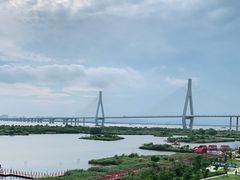 -芒洲湿地公园