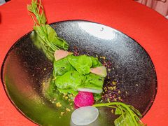 -叶叶菩提(太原别墅店)