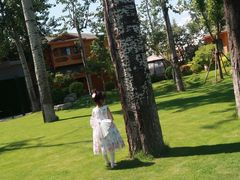 -禧宴Joyous Restaurant(禧园店)