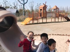 -上海长兴岛郊野公园