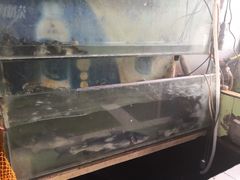 -颜氏双江清水鱼一养身火锅(磁器口店)