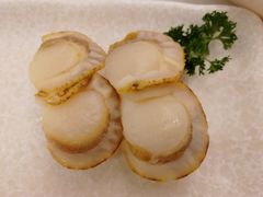 酒煮帆立贝-元气寿司(金光华店)