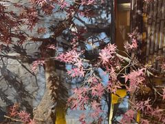 -解家河南菜(金水路店)