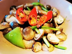 -花马天堂云南餐厅 Lost Heaven(外滩店)