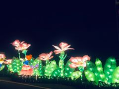 -光明小镇欢乐田园