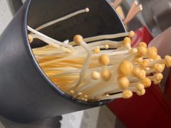 -海底捞火锅(泰安爱琴海店)