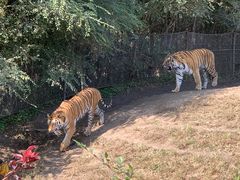 -沈阳森林动物园