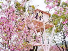 -福建鲤鱼洲酒店