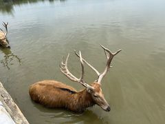 -宁波杭州湾国家湿地公园