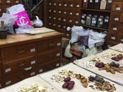 -杏园春(景泰店)