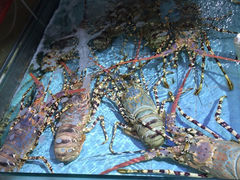iphone_upload_pic-渔民新村(番禺总店)