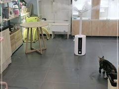 -十年猫舍·猫咪专门店(普陀店)