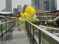 -艾薯夫妇Aysh(福田星河COCOPark店)