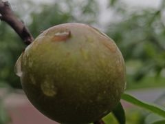 -云里小坐·海泉湾·团建·宴席·下午茶(金堂海泉湾店)