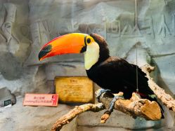 -Zoolung Zoolung动物主题公园(海信广场店)