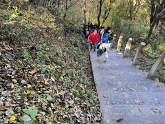 -终南山南五台景区