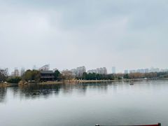 -武汉园博园(武汉自然博物馆)