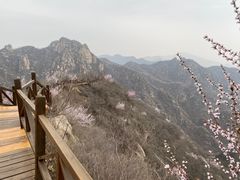 -大岭沟猕猴桃谷风景区
