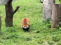 -宁波野生动物园