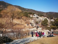 -北京西山国家森林公园