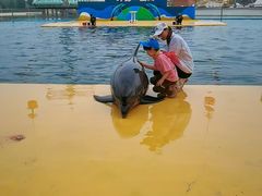 -秦皇岛乐岛海洋王国