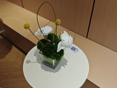 -蓉小乔·RONG COFFEE(春熙路店)