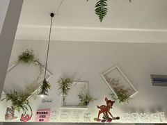 -春树下·树屋花房西餐厅(罍街AS1980店)