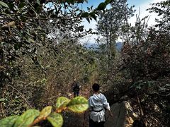 -青龙山国家森林公园