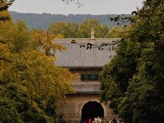 -灵谷景区