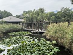 -比格比萨自助(万柳华联店)