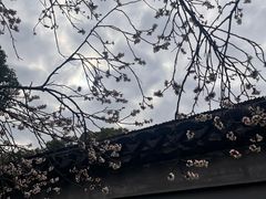 -无锡梅园公园