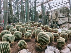 -南山植物园