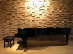 -小小莫扎特钢琴馆(香港名都店)