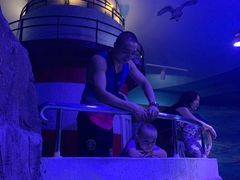 -成都浩海立方海洋公园