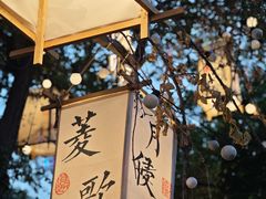 -十亩森林