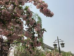 -唐城墙遗址公园