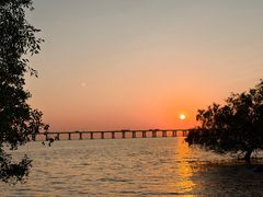 -宝安西湾红树林湿地公园