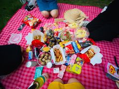 -大兴滨河森林公园