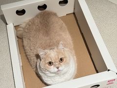 -联合动物医院(光谷诊疗中心)
