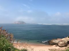 -枸杞岛