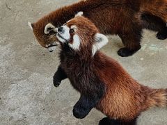 -杭州野生动物世界