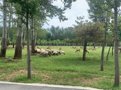 -秦皇岛野生动物园