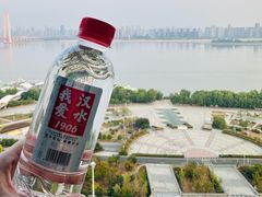 -武汉洲际酒店