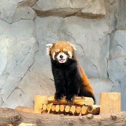 -Zoolung Zoolung动物主题公园(海信广场店)