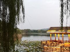 -上海市保健医疗中心