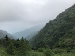 -牛背梁国家森林公园