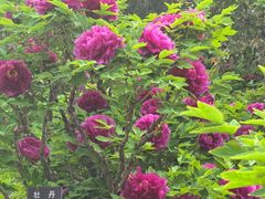-元大都城垣遗址公园