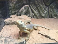 -宠物世家(仲盛世界商城店)